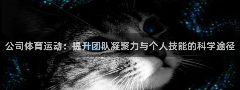 球速体育：公司体育运动：提升团队凝聚力与个人技能的科学途径