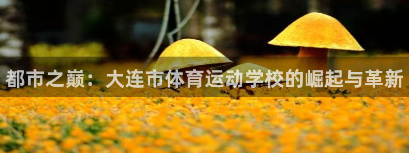球速体育：都市之巅：大连市体育运动学校的崛起与革新