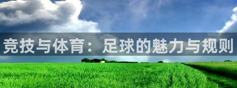 球速体育：竞技与体育：足球的魅力与规则