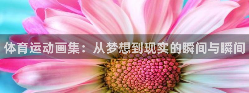 球速体育：体育运动画集：从梦想到现实的瞬间与瞬间