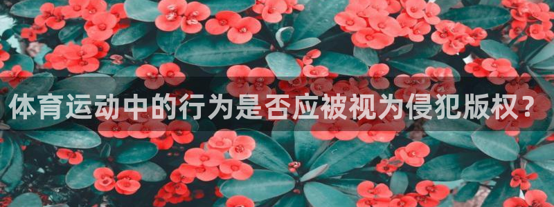 球速体育：体育运动中的行为是否应被视为侵犯版权？