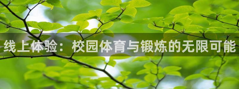 球速体育：线上体验：校园体育与锻炼的无限可能