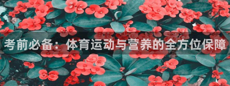 球速体育：考前必备：体育运动与营养的全方位保障