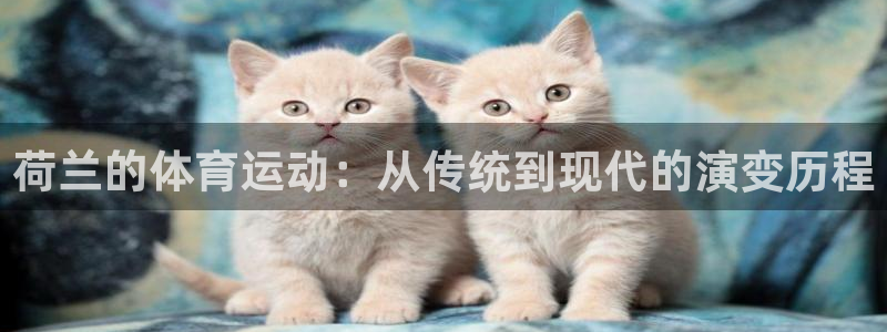 球速体育：荷兰的体育运动：从传统到现代的演变历程