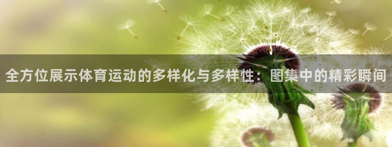 球速体育：全方位展示体育运动的多样化与多样性：图集中的精彩瞬间