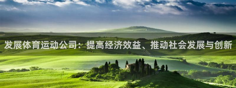 球速体育：发展体育运动公司：提高经济效益、推动社会发展与创新