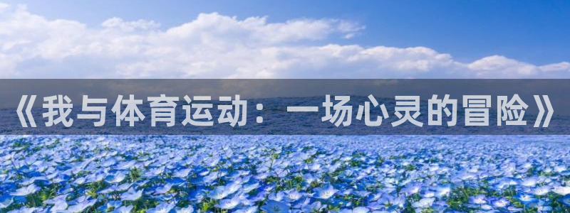 球速体育：《我与体育运动：一场心灵的冒险》